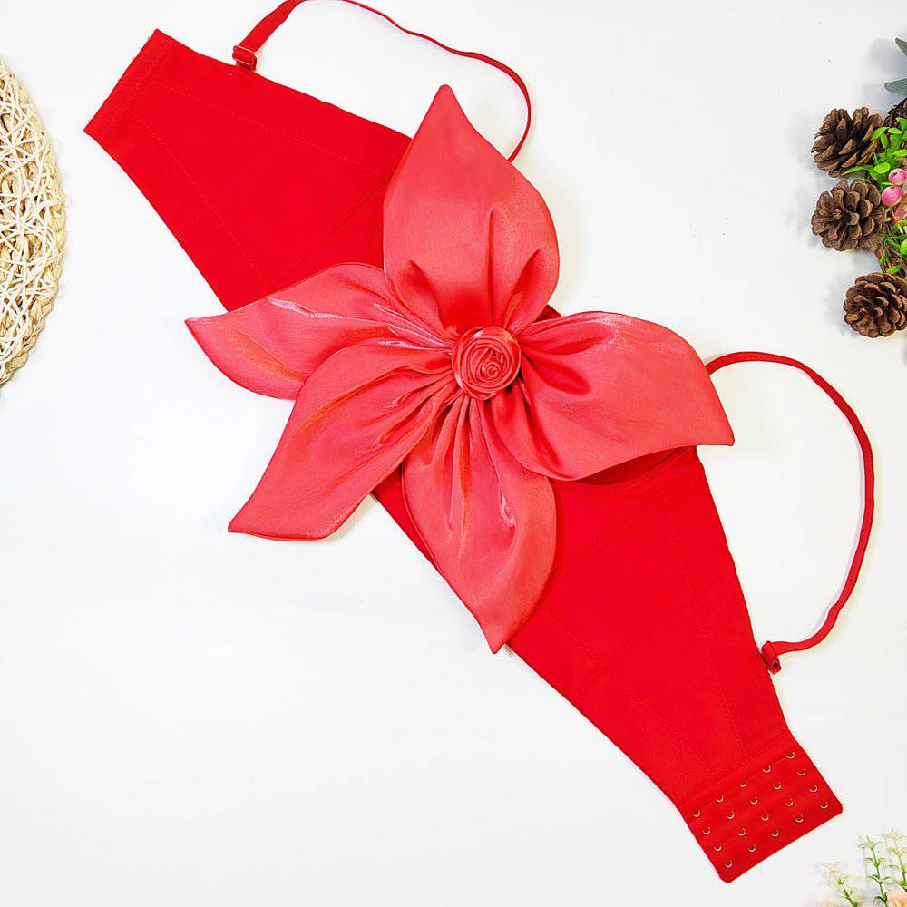 {{ product_title }} – Exklusive Damenmode für besondere Anlässe | HotFashionista.de